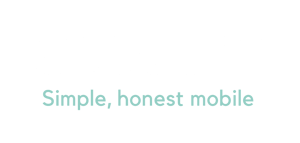 Smarty_Logo_Slug_Large_mint