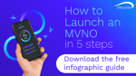 mvno infographic post-03