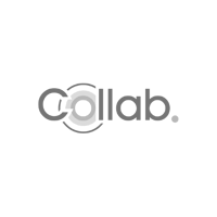 partner logo grey_collab