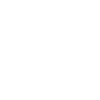 smarty logo